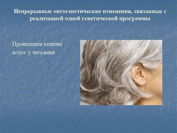 Непрерывные онтогенетические изменения, связанные с реализацией одной генетической программы Проявление седины волос у человека