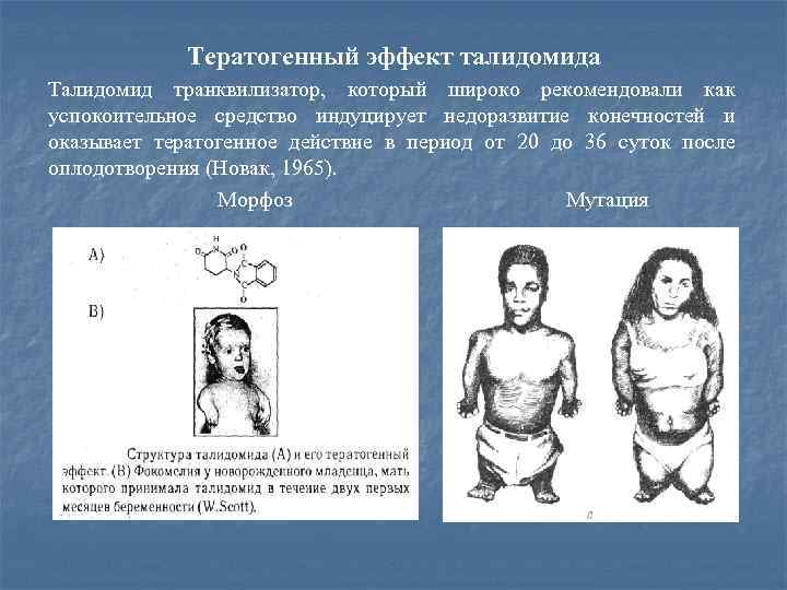 Тератогенный эффект талидомида Талидомид транквилизатор, который широко рекомендовали как успокоительное средство индуцирует недоразвитие конечностей