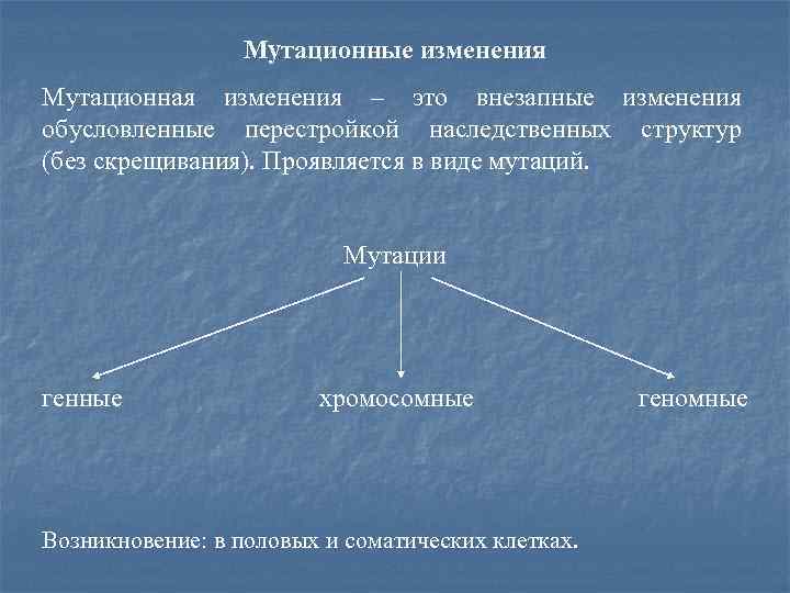 Мутационные изменения Мутационная изменения – это внезапные изменения обусловленные перестройкой наследственных структур (без скрещивания).