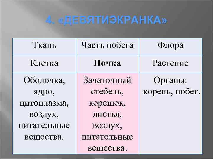 4. «ДЕВЯТИЭКРАНКА» Ткань Часть побега Флора Клетка Почка Растение Оболочка, Зачаточный Органы: ядро, стебель,