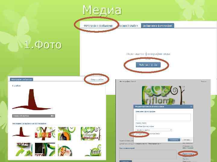 Медиа 1. Фото 