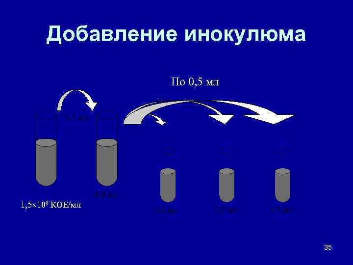 Добавление инокулюма По 0, 5 мл 0, 1 мл 9, 9 мл 1, 5