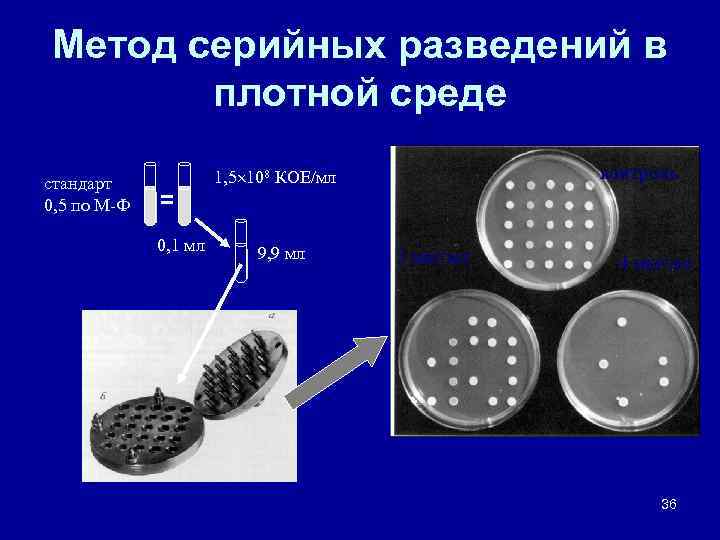 Метод серийных разведений в плотной среде контроль 1, 5 108 КОЕ/мл стандарт 0, 5