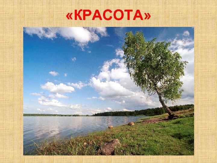  «КРАСОТА» 