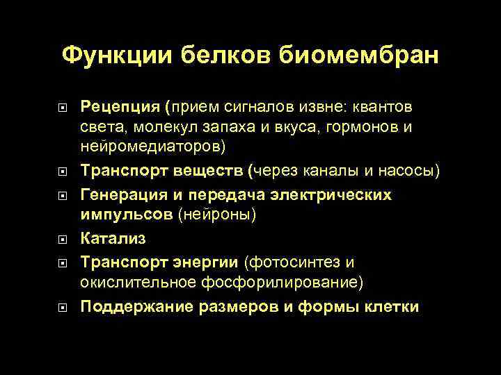 Функции белков биомембран Рецепция (прием сигналов извне: квантов света, молекул запаха и вкуса, гормонов