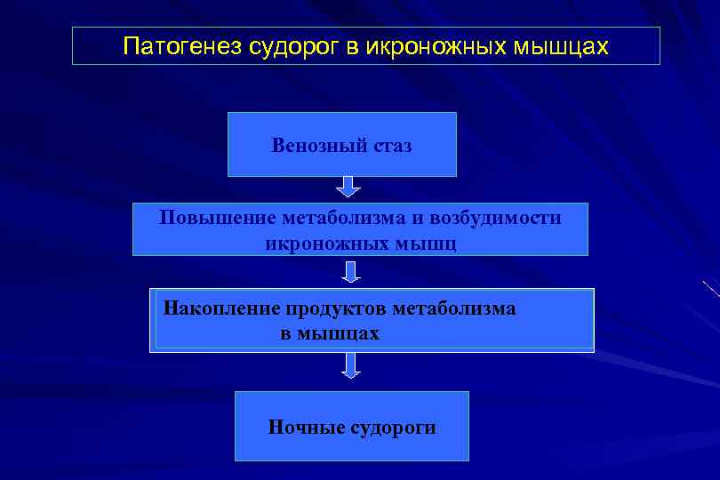 Патогенез судорог в икроножных мышцах Венозный стаз Повышение метаболизма и возбудимости икроножных мышц Накопление