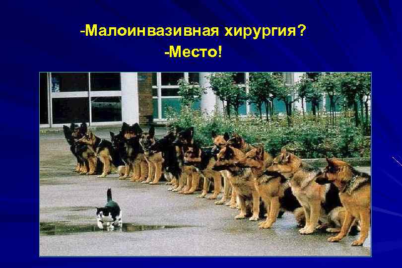 -Малоинвазивная хирургия? -Место! 