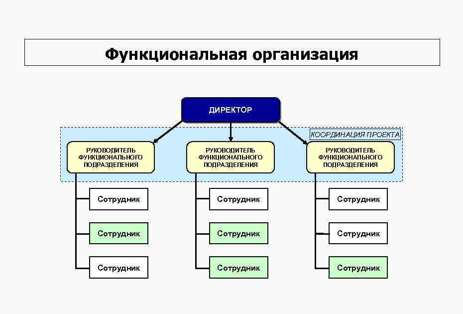 Функциональная организация ДИРЕКТОР КООРДИНАЦИЯ ПРОЕКТА РУКОВОДИТЕЛЬ ФУНКЦИОНАЛЬНОГО ПОДРАЗДЕЛЕНИЯ Сотрудник Сотрудник Сотрудник 
