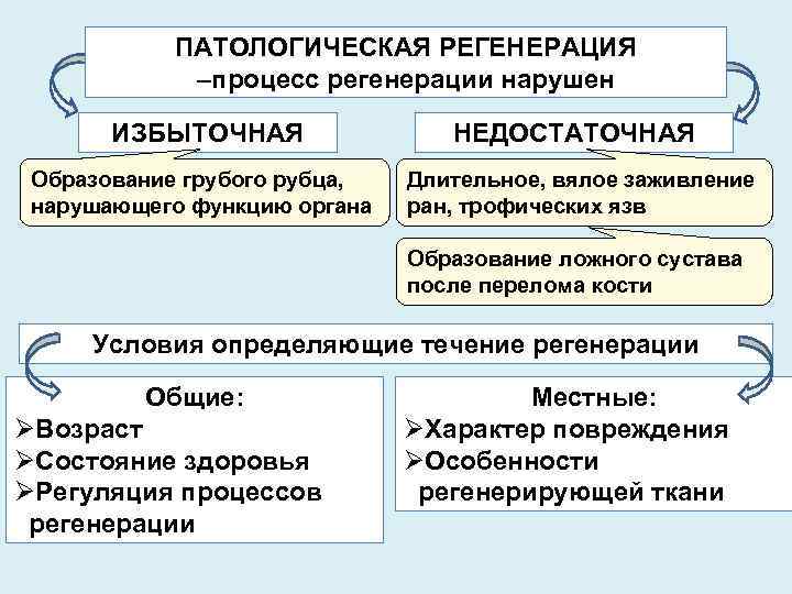 Общая и местная. Классификация регенерации. Характеристика регенерации. Патологическая регенерация характеристика. Компенсаторно-приспособительные реакции таблица.