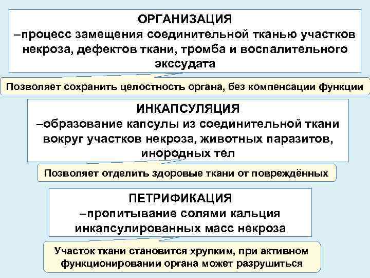 Определите вид компенсаторно приспособительных реакций по картинкам