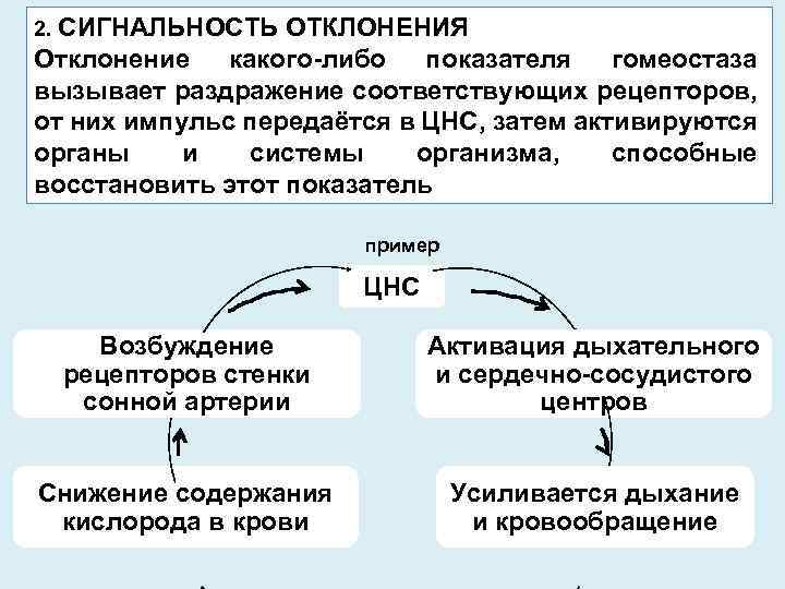 Схему защитно приспособительных механизмов организма при умирании