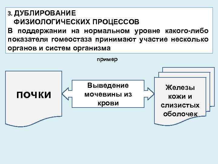 Процесс этого случая. Дублирование физиологических процессов пример. Дублирование физиологических процессов в патологии это. Дублирование функциональных процессов пример. Механизм дублирования физиологических процессов.