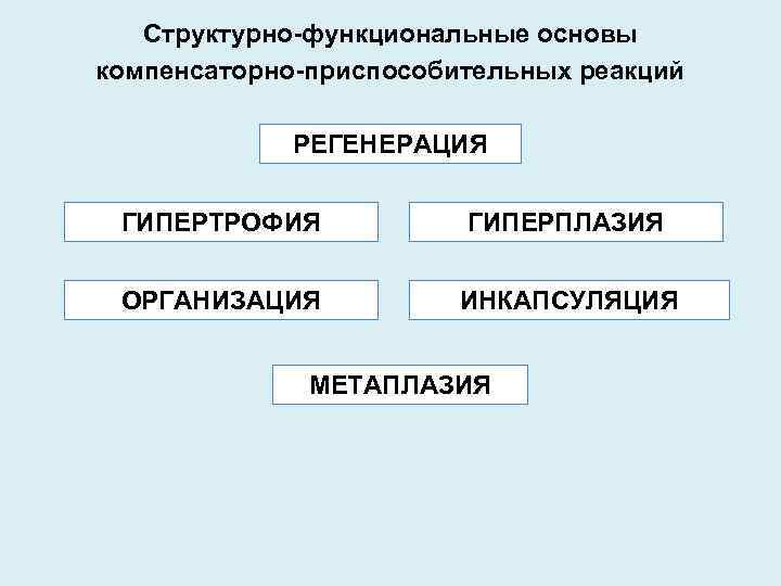 Вид компенсаторно приспособительных реакций фото примеры