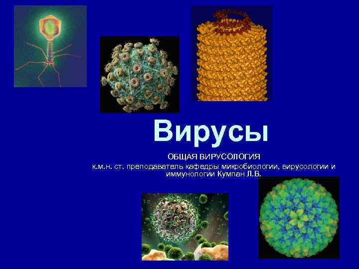 Вирусы ОБЩАЯ ВИРУСОЛОГИЯ к. м. н. ст. преподаватель кафедры микробиологии, вирусологии и иммунологии Кумпан