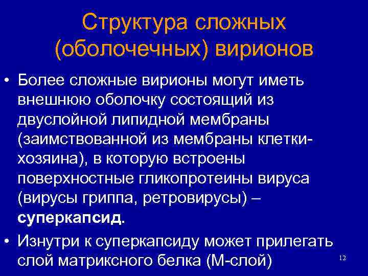 Структура сложных (оболочечных) вирионов • Более сложные вирионы могут иметь внешнюю оболочку состоящий из