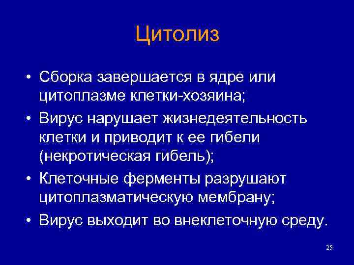 Цитолиз • Сборка завершается в ядре или цитоплазме клетки-хозяина; • Вирус нарушает жизнедеятельность клетки