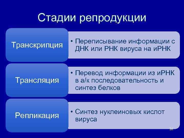 Стадии репродукции Транскрипция • Переписывание информации с ДНК или РНК вируса на и. РНК