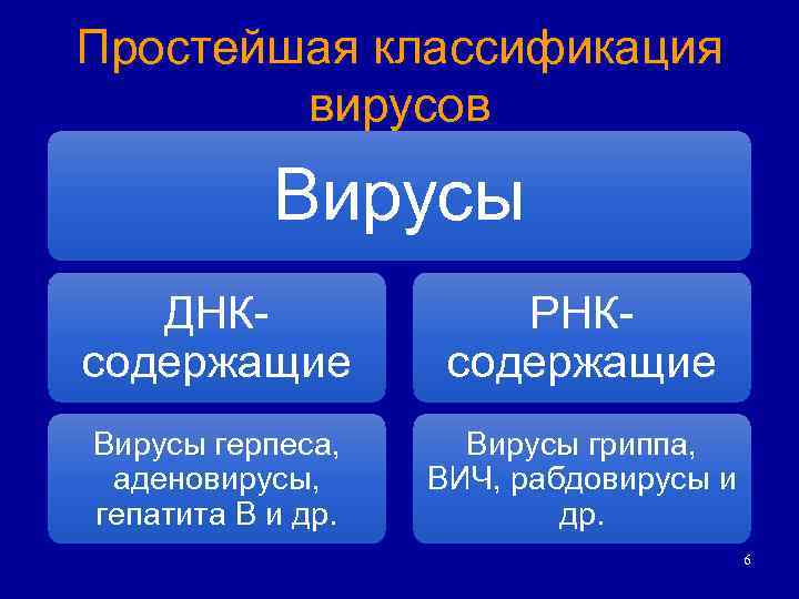 Простейшая классификация вирусов Вирусы ДНКсодержащие РНКсодержащие Вирусы герпеса, аденовирусы, гепатита B и др. Вирусы