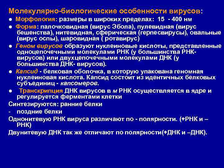 Молекулярно биологические особенности вирусов: ● Морфология: размеры в широких пределах: 15 400 нм ●