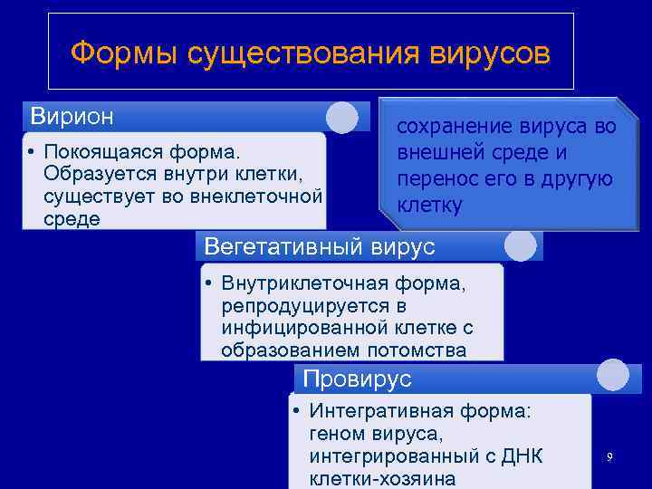 Формы существования вирусов Вирион • Покоящаяся форма. Образуется внутри клетки, существует во внеклеточной среде