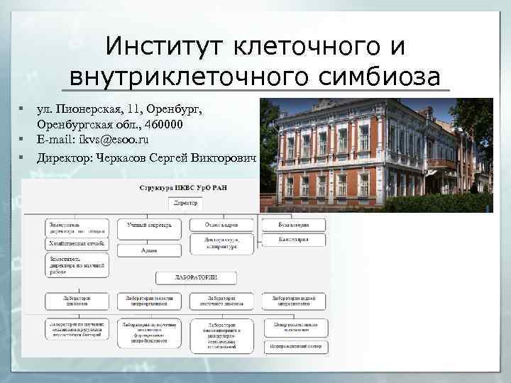 Институт клеточного и внутриклеточного симбиоза § § § ул. Пионерская, 11, Оренбург, Оренбургская обл.