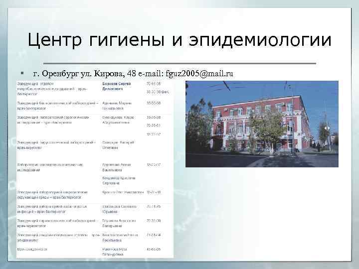 Центр гигиены и эпидемиологии § г. Оренбург ул. Кирова, 48 e-mail: fguz 2005@mail. ru