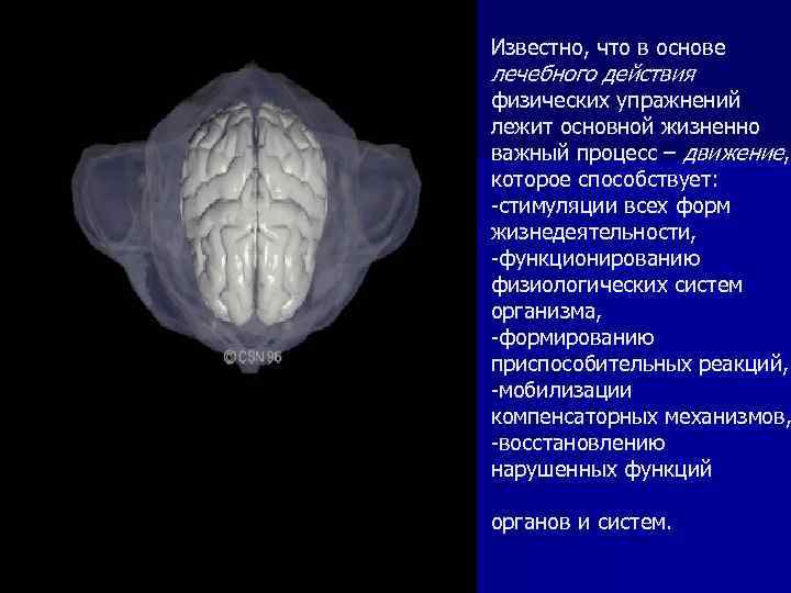 Известно, что в основе лечебного действия физических упражнений лежит основной жизненно важный процесс –