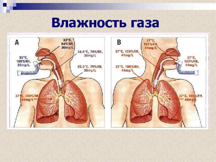 Влажность газа 