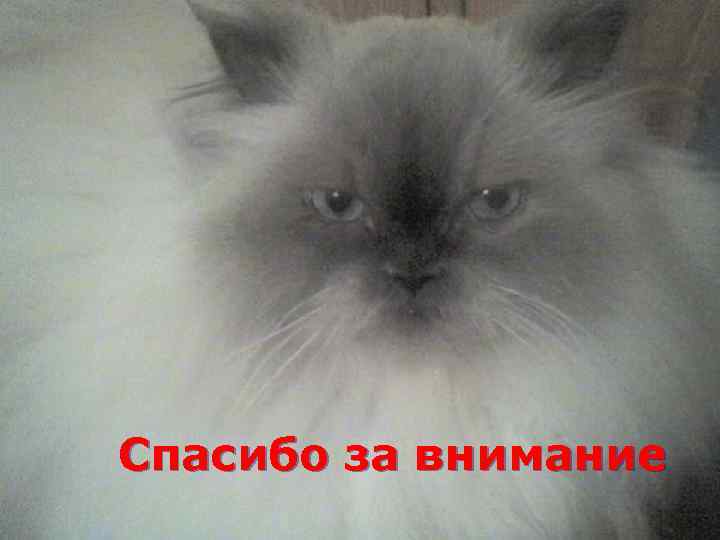 Спасибо за внимание 