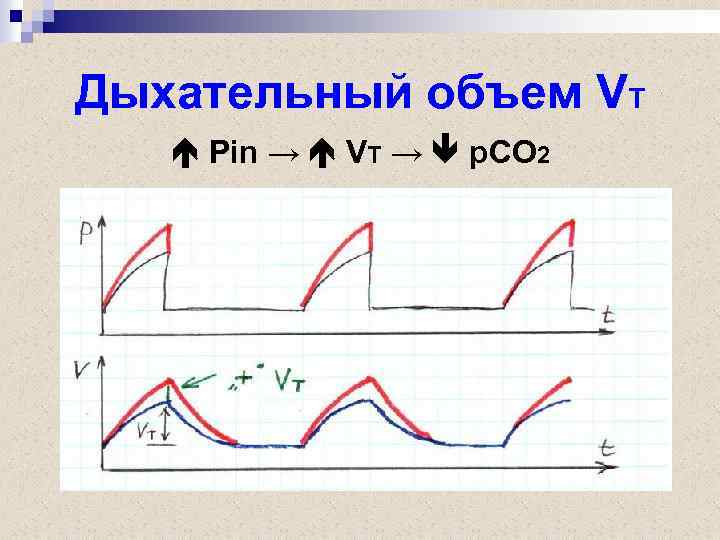 Дыхательный объем VT Pin → VT → p. CO 2 