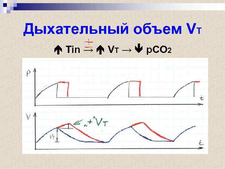 Дыхательный объем VT Tin → VT → p. CO 2 