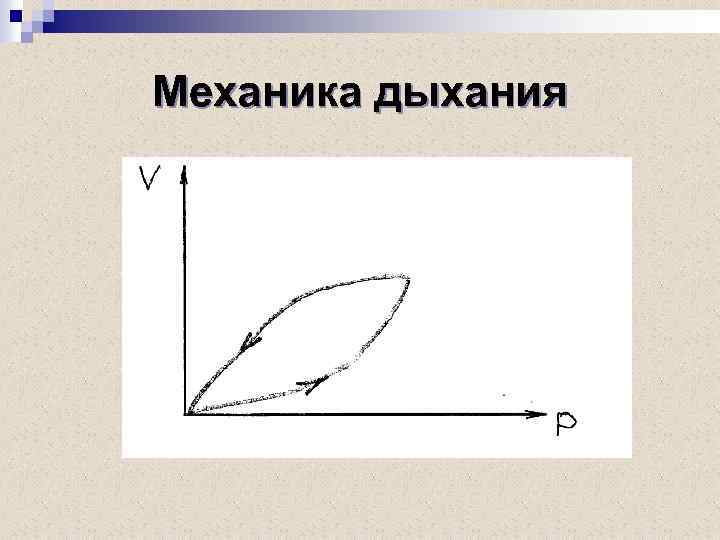 Механика дыхания 