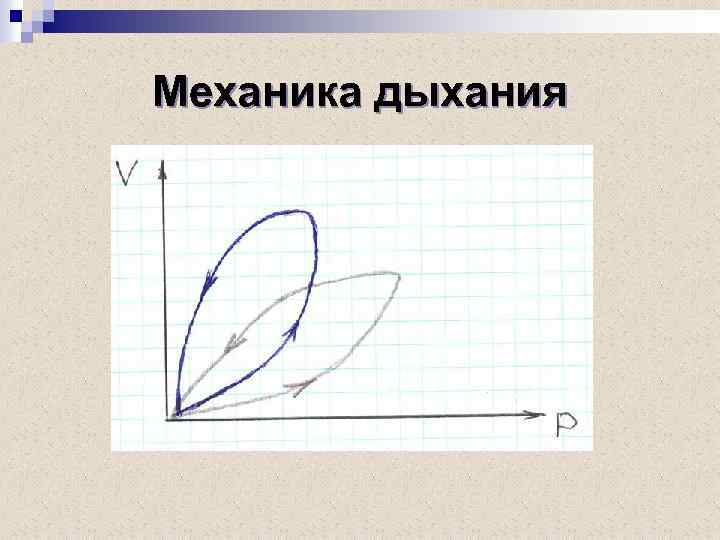 Механика дыхания 