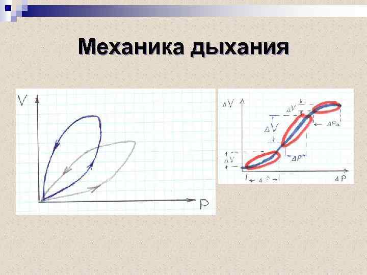 Механика дыхания 