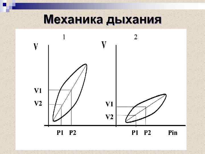 Механика дыхания 