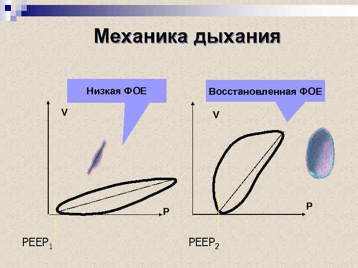 Механика дыхания Низкая ФОЕ Восстановленная ФОЕ V V P P PEEP 1 PEEP 2