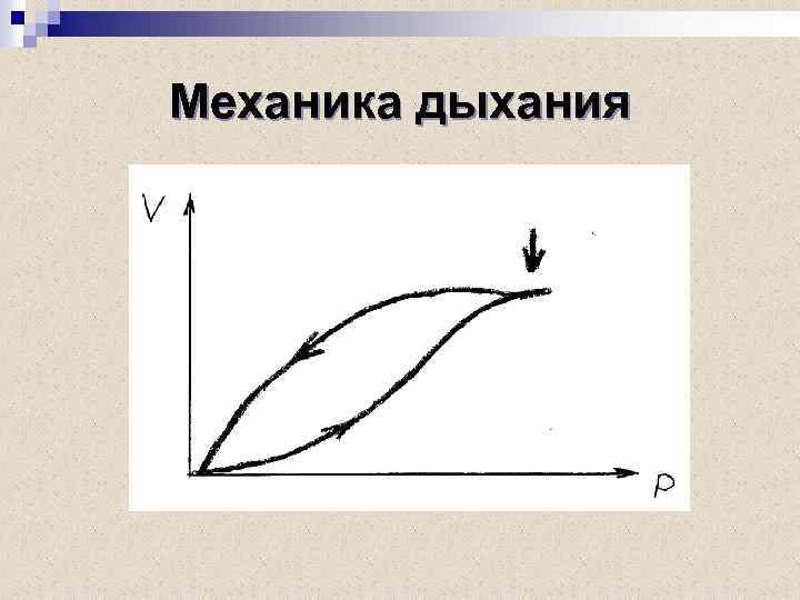Механика дыхания 
