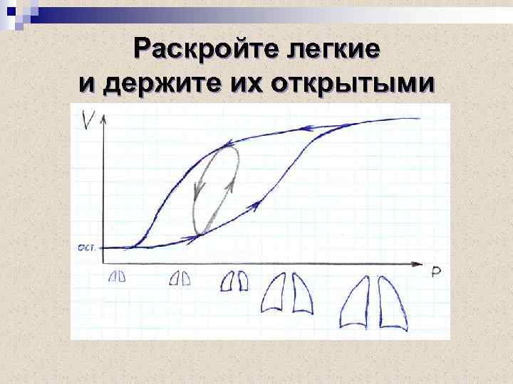 Раскройте легкие и держите их открытыми 