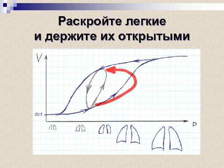 Раскройте легкие и держите их открытыми 