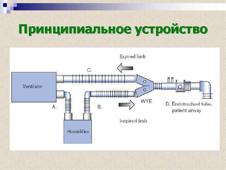 Принципиальное устройство 