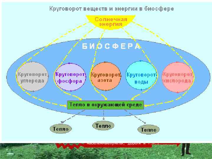 БИОСФЕРНЫЙ (глобальные процессы на уровне планеты) 