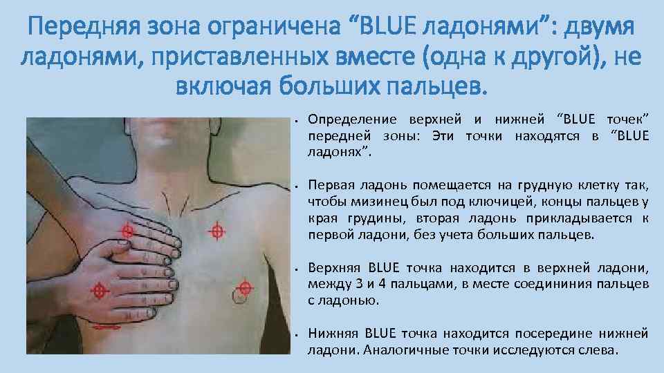 Передняя зона ограничена “BLUE ладонями”: двумя ладонями, приставленных вместе (одна к другой), не включая