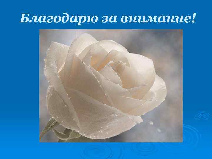 Благодарю за внимание! 