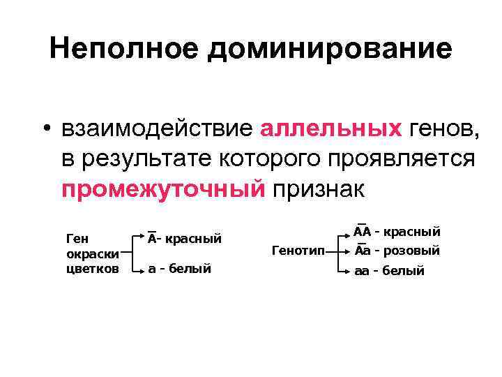 Неполное доминирование • взаимодействие аллельных генов, в результате которого проявляется промежуточный признак Ген окраски