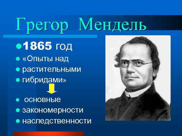 Грегор Мендель l 1865 год l «Опыты над l растительными l гибридами» основные l