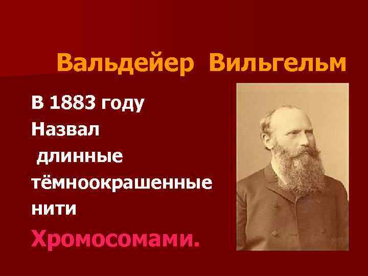 Как звали длинного. Генрих Вальдейер. Вильгельм фон Вальдейер. Вальдейер, 1883. Вальдейер генетика.