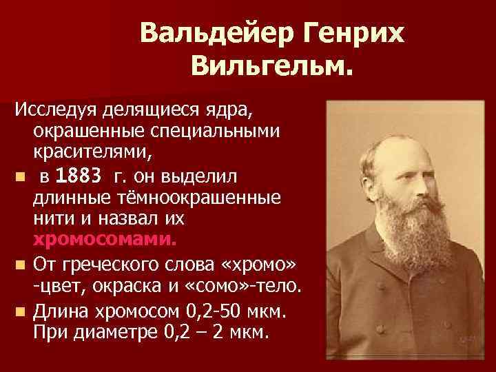Вальдейер Генрих Вильгельм. Исследуя делящиеся ядра, окрашенные специальными красителями, n в 1883 г. он