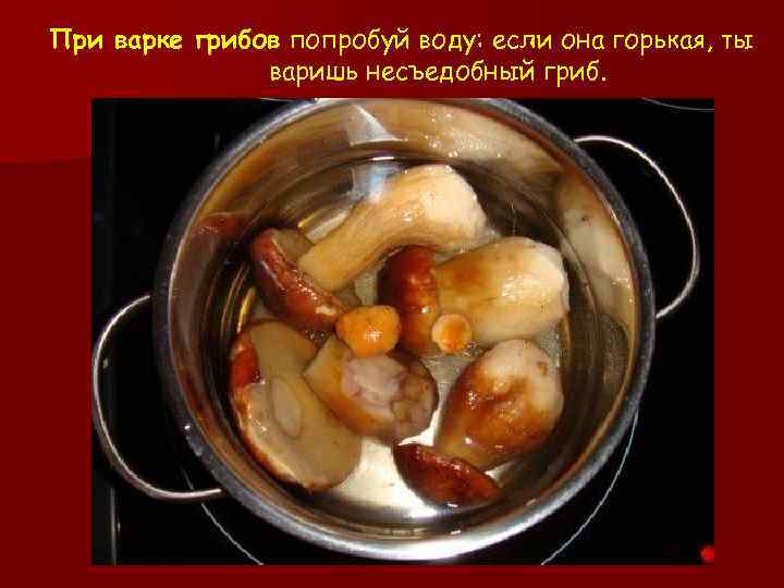 При варке грибов попробуй воду: если она горькая, ты варишь несъедобный гриб. 
