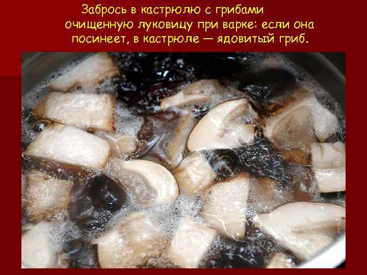 Забрось в кастрюлю с грибами очищенную луковицу при варке: если она посинеет, в кастрюле