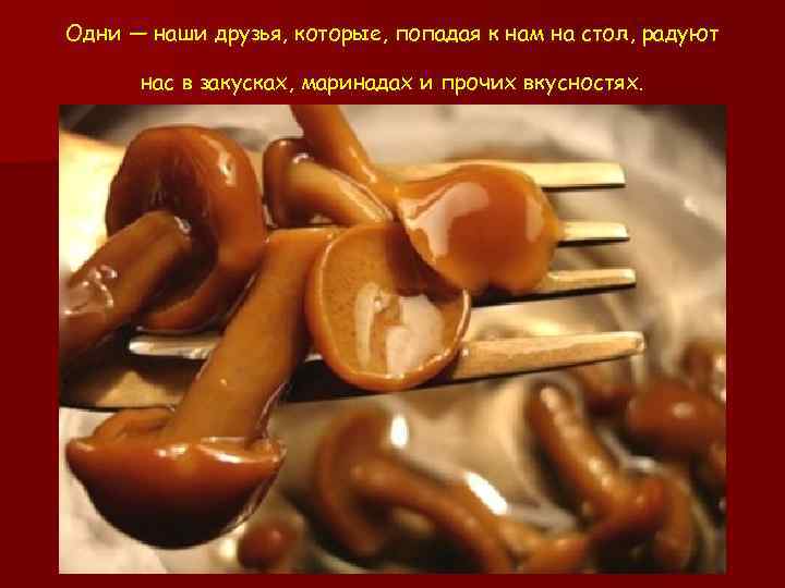 Одни — наши друзья, которые, попадая к нам на стол, радуют нас в закусках,